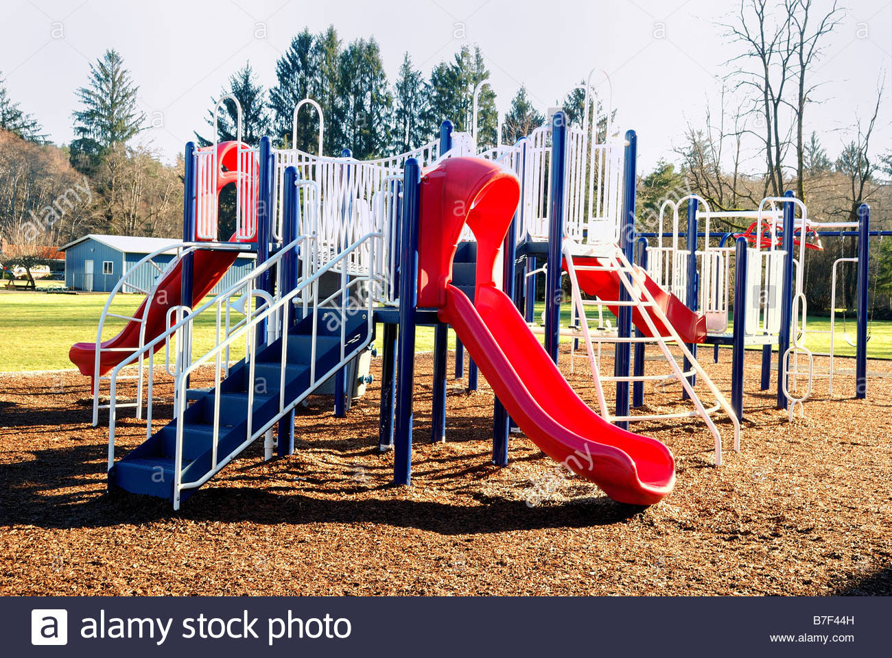 Jungle Gym